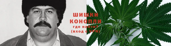 стафф Елабуга