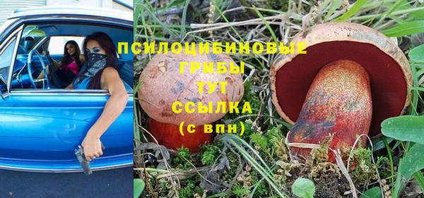 трава Алексин