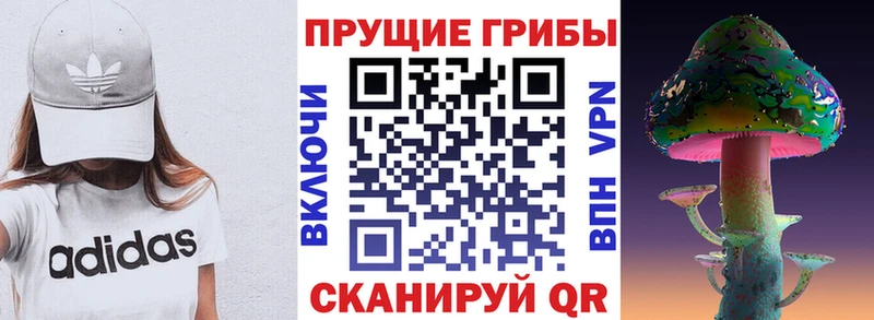 это наркотические препараты  Ленинск  Галлюциногенные грибы Psilocybine cubensis 